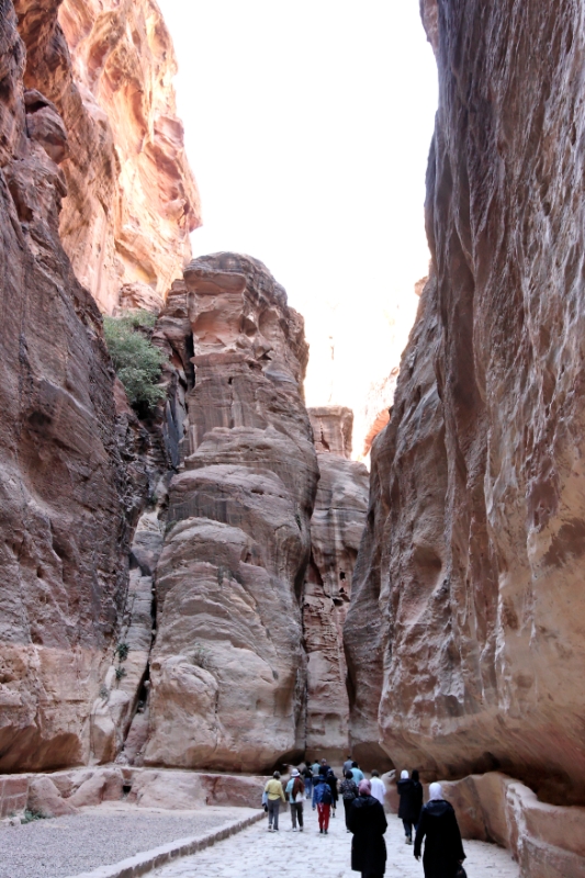 Canyon, Petra (Wadi Musa) Jordan.jpg
